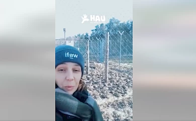 Українські вовки, котрих виростили люди, переїхали до Греції