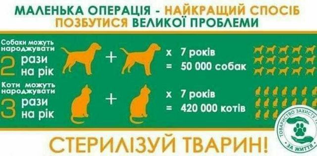 В Обухове проведут льготную стерилизация домашних животных