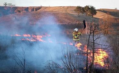 Спасатели тушили масштабный пожар неподалеку заказника на Обуховщине (видео)