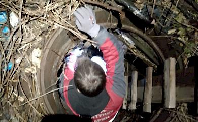 Цуцик провалився у відкритий люк: як йому вдалося вижити