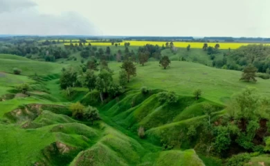 Неизвестные подожгли заказник "Сказочный яр" в Обуховском районе: вероятно из мести