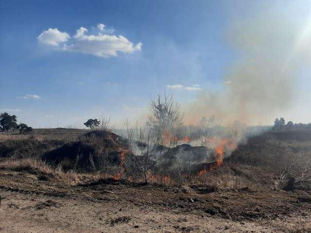 Неизвестные подожгли заказник "Сказочный яр" в Обуховском районе