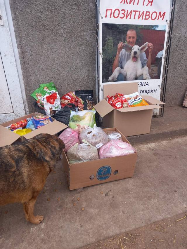 Воспитанники обуховского садика собрали 50 кг корма для животных в приюте