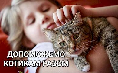 Фото с котиком: обуховских школьников приглашают присоединиться к благотворительному фотоконкурсу