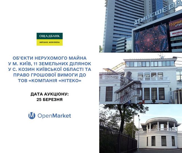 На аукцион выставлено 11 земельных участков в элитном поселке Козин вблизи Обухова