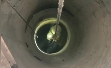 На Обуховщине из заброшенного 15-ти метрового колодца спасли кота (видео)