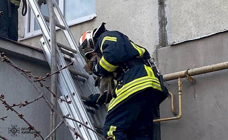 З палаючої квартири в Обухові врятували жінку з дитиною