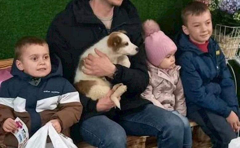 Хвостатые жители Деремезнянского приюта нашли семьи на AdoptMeDays