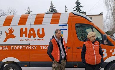 В Украинке продолжается стерилизация бездомных животных