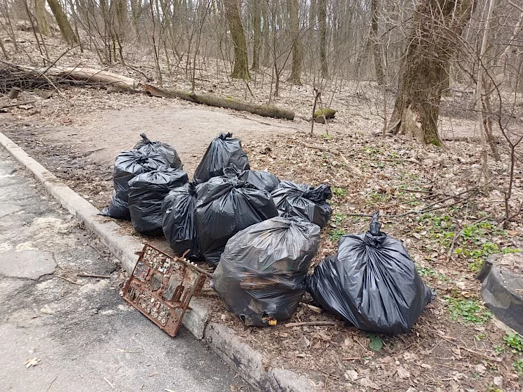 В Киеве дети убрали из известного парка невероятное количество мусора