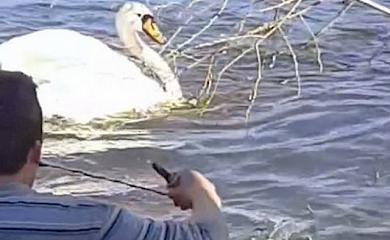 скриншот из видео