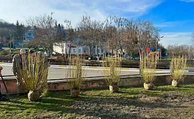 В лицее на Обуховщине благотворитель создал "зеленый уголок" (фото)