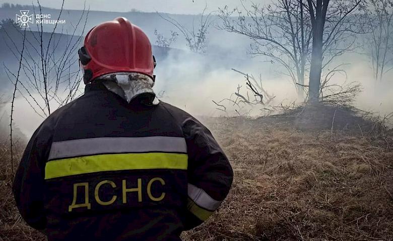 Спасатели ликвидировали масштабный пожар на Обуховщине (фото)