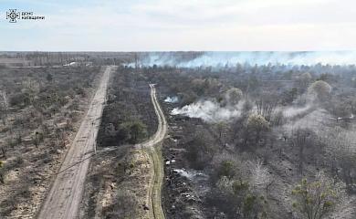 Спасатели потушили масштабное возгорание травяного настила на Обуховщине (видео)