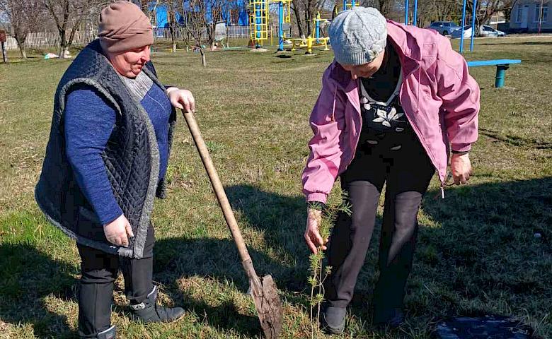 Сотни саженцев сосны высадили на Кагарлыччине
