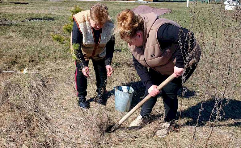 Сотни саженцев сосны высадили на Кагарлыччине