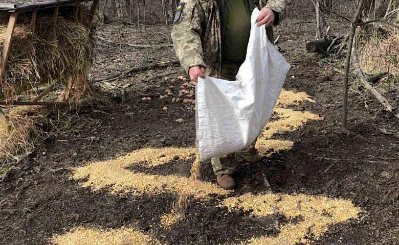 Мисливська спільнота Обухівщини організувала підгодівлю диких тварин