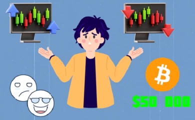 Что такое курсы по инвестированию, сколько стоит и как проходить