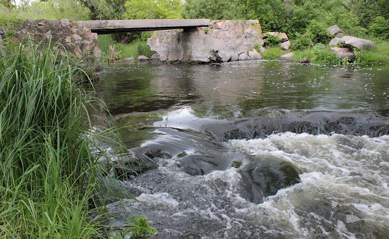 Топ-5 мест под Киевом для весеннего уикенда: два из них на Обуховщине