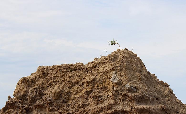 Топ-5 мест под Киевом для весеннего уикенда: два из них на Обуховщине