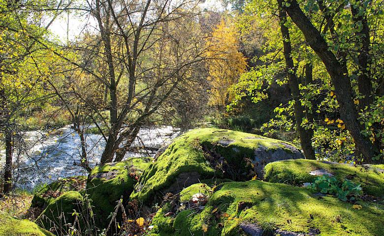 Топ-5 мест под Киевом для весеннего уикенда: два из них на Обуховщине