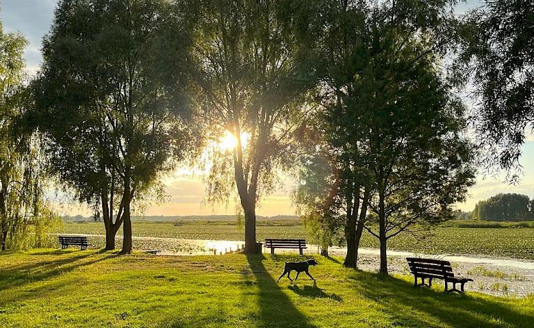 Топ-5 мест под Киевом для весеннего уикенда: два из них на Обуховщине