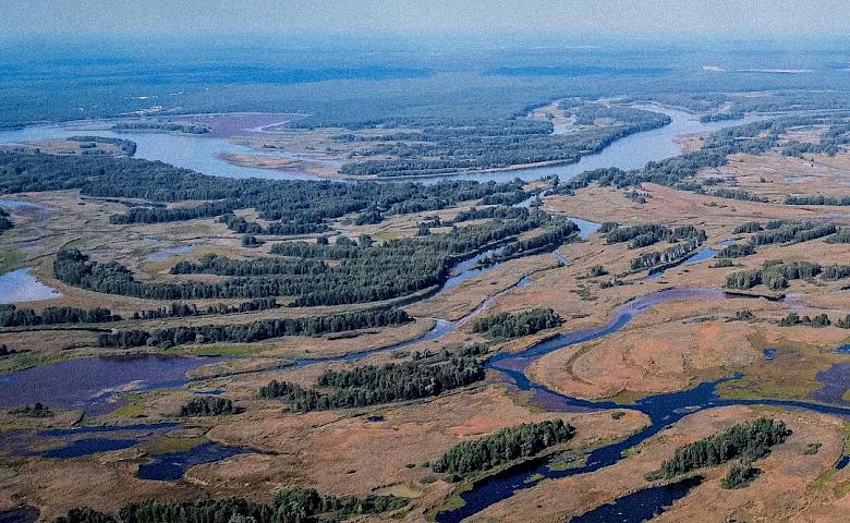 Топ-5 мест под Киевом для весеннего уикенда: два из них на Обуховщине