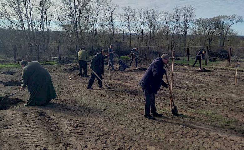 В селе на Обуховщине заложили огромный фруктовый сад