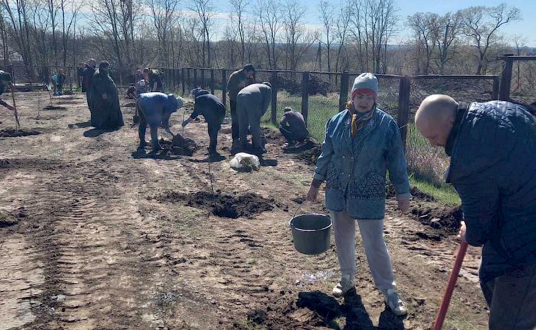 В селе на Обуховщине заложили огромный фруктовый сад