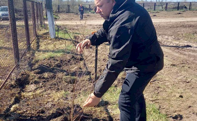 В селе на Обуховщине заложили огромный фруктовый сад