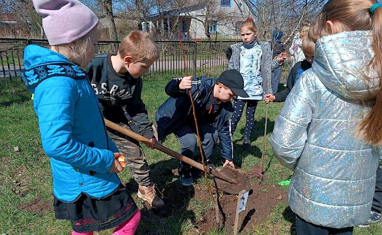 "Деревья Героев" высадили Обуховские школьники в честь павших земляков