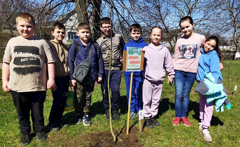 "Деревья Героев" высадили Обуховские школьники в честь павших земляков