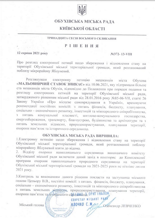 На умирающем пруду в Обухове поселилась лебединая семья