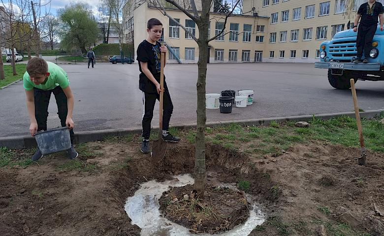 В память о погибшем выпускнике, в обуховском лицее высадили "Дерево Героя" (фото)