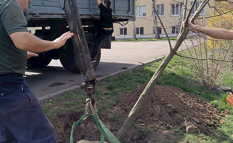 В память о погибшем выпускнике, в обуховском лицее высадили "Дерево Героя" (фото)