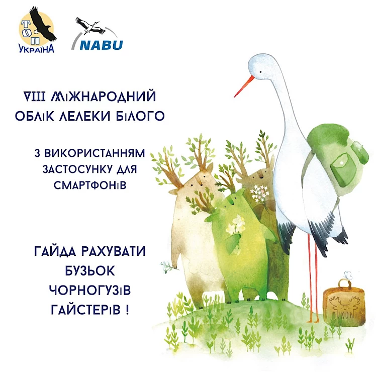 Ентузіасти створили застосунок для обліку лелек в Україні