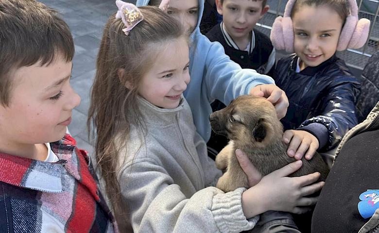 Дети Обуховщины передали помощь бездомным хвостикам (фото)