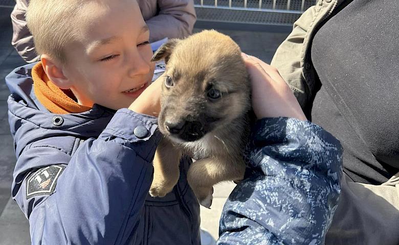 Дети Обуховщины передали помощь бездомным хвостикам (фото)