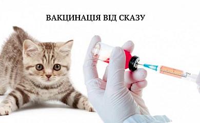 В Василькове будут вакцинировать животных против бешенства