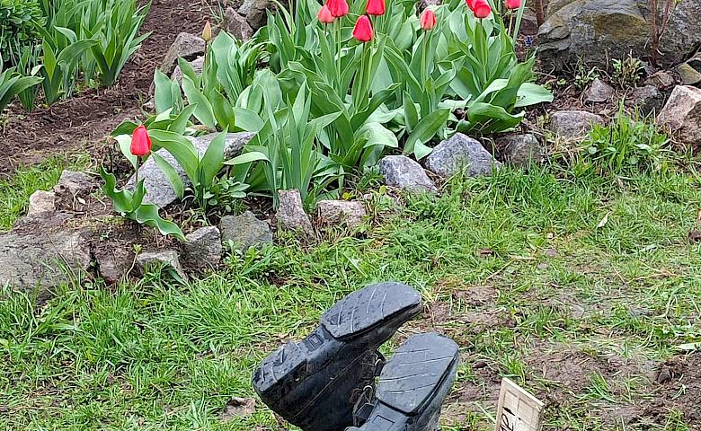 В Обуховской громаде придумали оригинальный способ борьбы с мусорниками (фото)