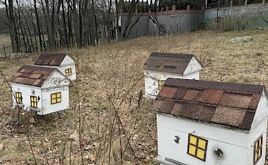 Біодинамічний мед - ноу-хау виноробів з Північної Обухівщини