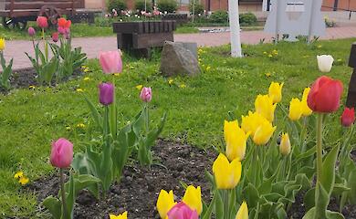В Ржищевском музее начинают уникальные квест-экскурсии (видео)