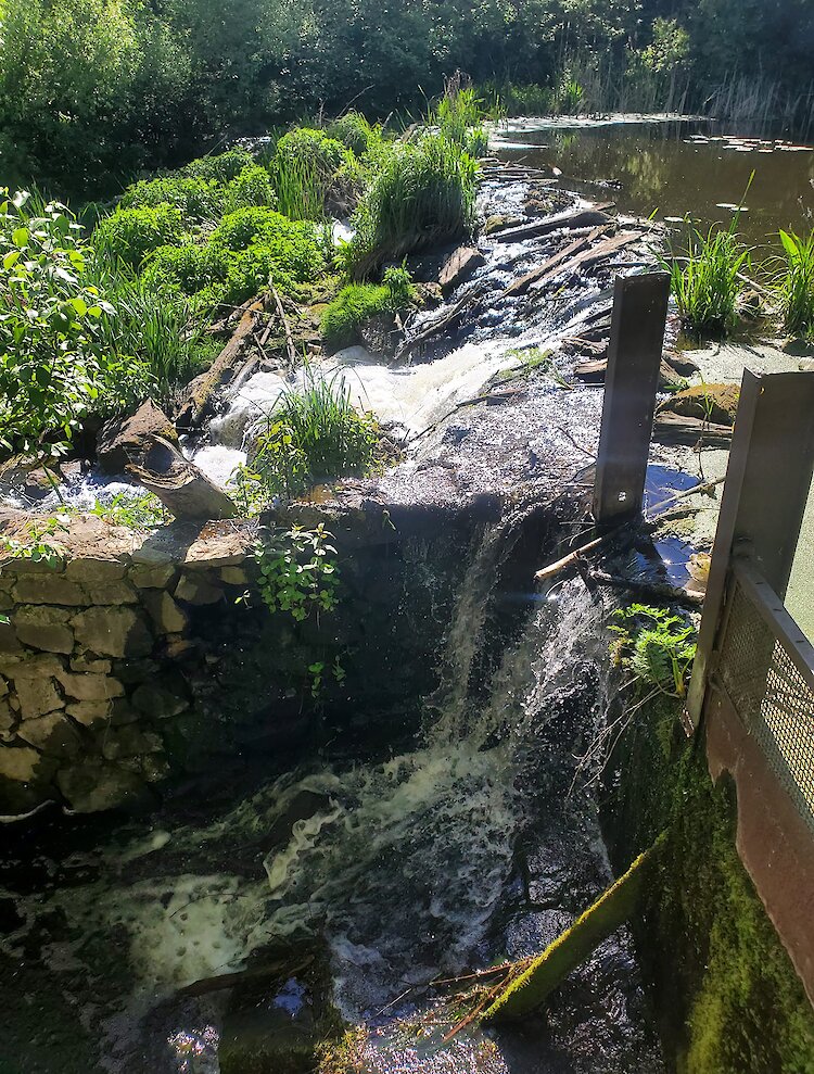 На Київщині знайшли водяного млина: до цього про нього не знали