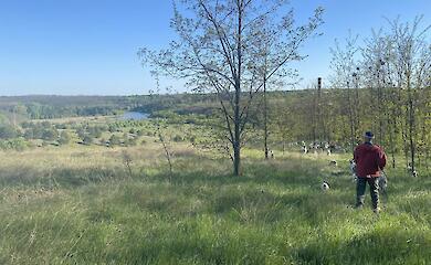 Научиться смотреть за козами и варить сыр можно на Обуховщине: где и как