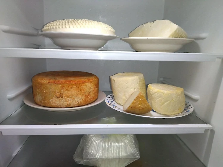 Научиться смотреть за козами и варить сыр можно на Обуховщине: где и как