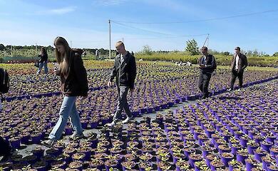Будущие садоводы осваивали азы профессии в питомнике на Обуховщине