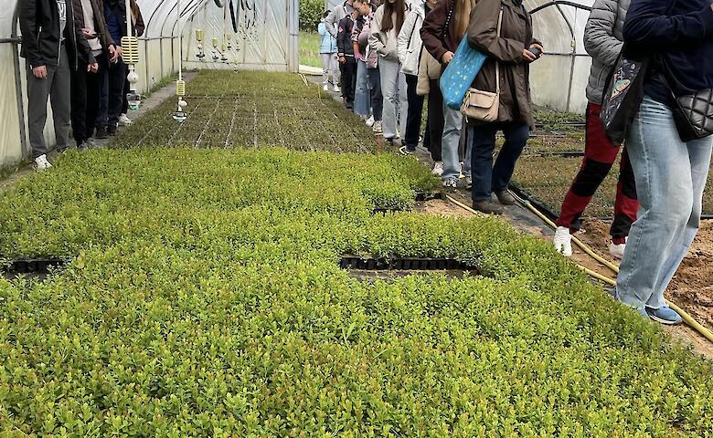 Будущие садоводы осваивали азы профессии в питомнике на Обуховщине