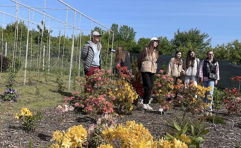 Будущие садоводы осваивали азы профессии в питомнике на Обуховщине