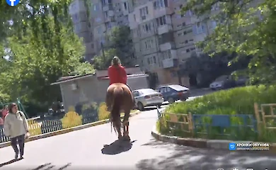 Утренний вайб: в одном из обуховских дворов заметили необычное явление