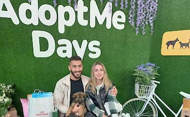 Собачки из приюта на Обуховщине нашли в Киеве новые семьи (фото)